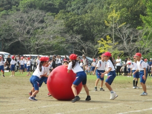 『1019(1)』の画像