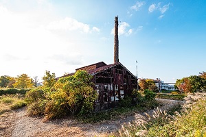『【UMAフェスタ】大山湖畔公園2』の画像