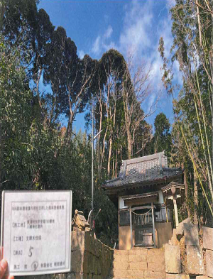 『森林環境譲与税の使途公表について2』の画像