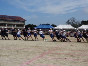 1018運動会(12) 『1018運動会(12)』の画像