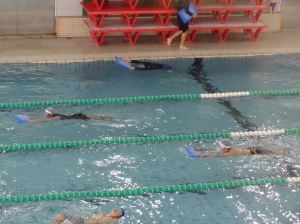 『1106水泳学習(3)』の画像