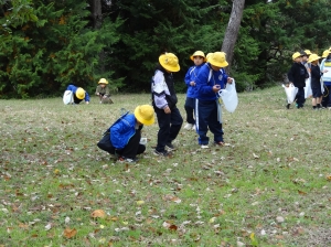 『1111秋探し(1)』の画像