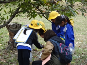 1111秋探し(2) 『1111秋探し(2)』の画像