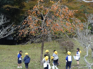 『1111秋探し(3)』の画像