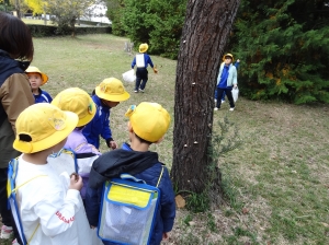 1111秋探し(4) 『1111秋探し(4)』の画像