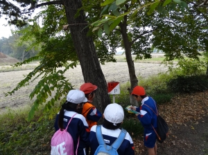 1113宿泊学習(2) 『1113宿泊学習(2)』の画像