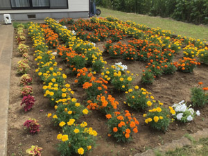 R07-06下舟子(2)IMG_8226