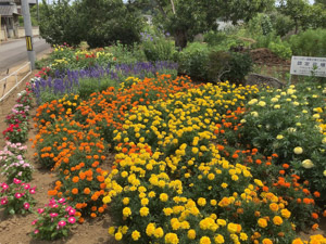 R07-01信太(1)IMG_8247