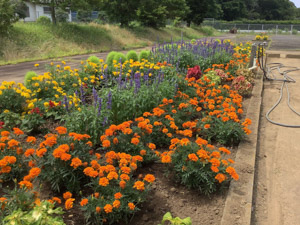 R07-02大須賀津(2)IMG_8218