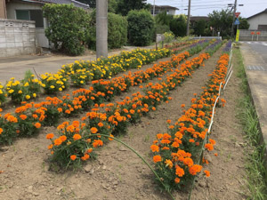 R07-03上舟子(1)IMG_8228