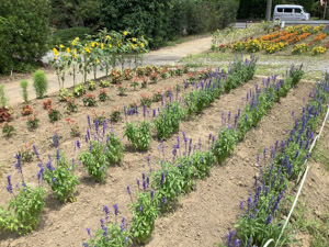 R07-03上舟子(2)IMG_8229