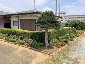 R07-04土屋(1)IMG_8232