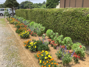 R07-04土屋(2)IMG_8234