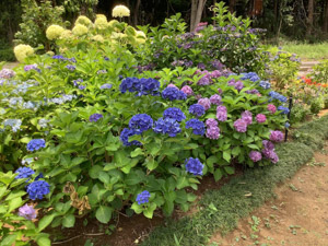 R07-05商工会(1)IMG_8252