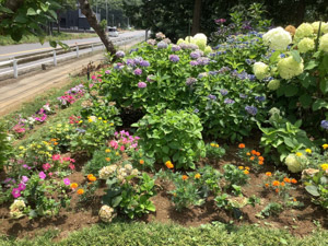 R07-05商工会(2)IMG_8253