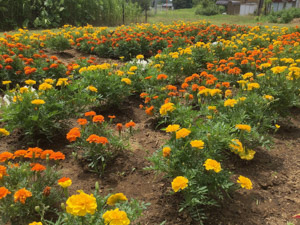 R07-06下舟子(1)IMG_8225