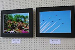 第43回美浦村文化協会春(展示(写真))