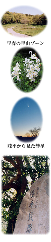 『陸平貝塚公園』の画像